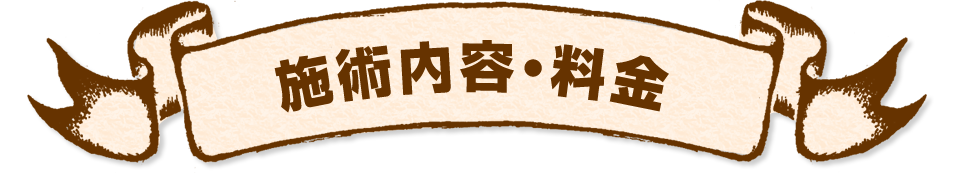 施術内容・料金